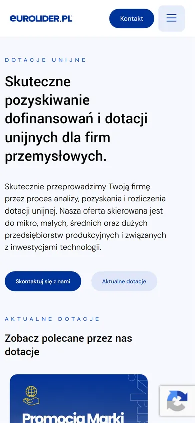 Wersja mobilna: Eurolider - dotacje dla firm przemysłowych